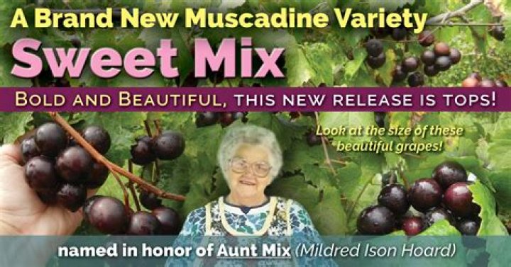 Candy with black and red varieties