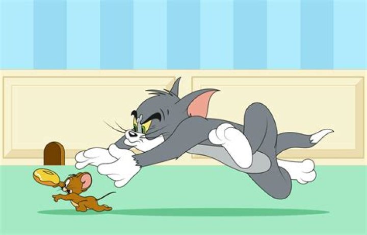 Cartoon cat who chases Jerry