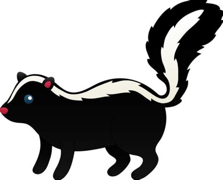 Cartoon skunk ___ Le Pew