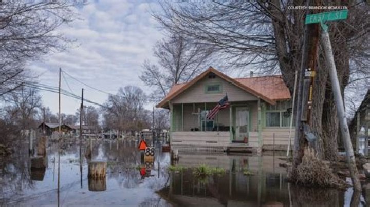 Casaba or crenshaw for example