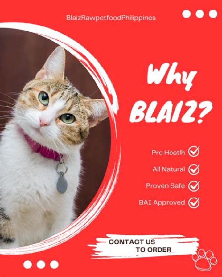 CAT ___ (hospital test)