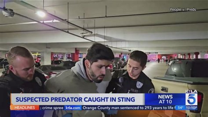 Catches in a sting operation