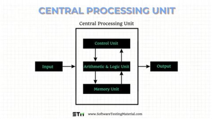 Central processing ___