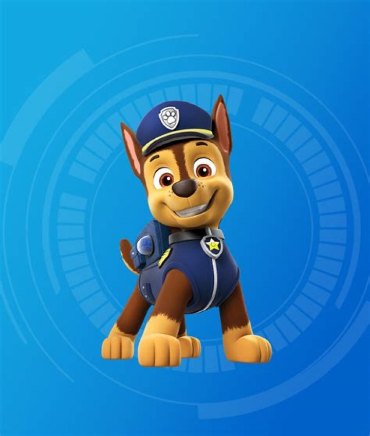Chase or Skye on PAW Patrol for example