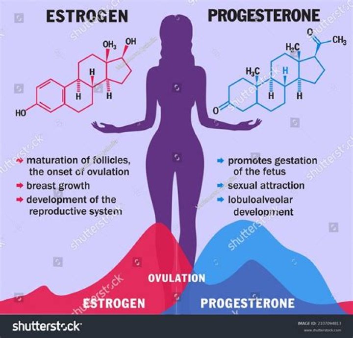 Chemicals in the body such as estrogen and testosterone