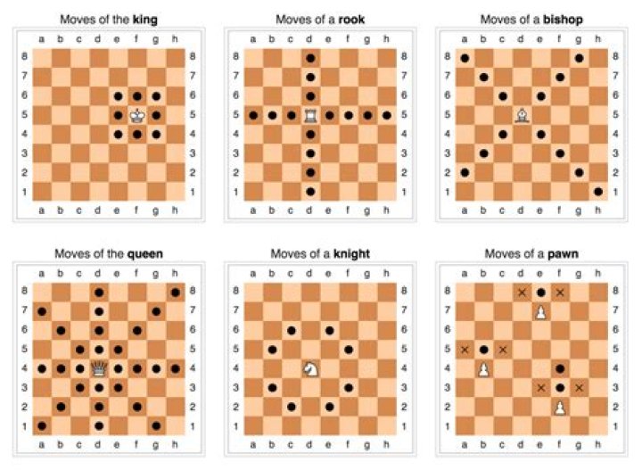 Chess piece that can move any number of squares horizontally or vertically