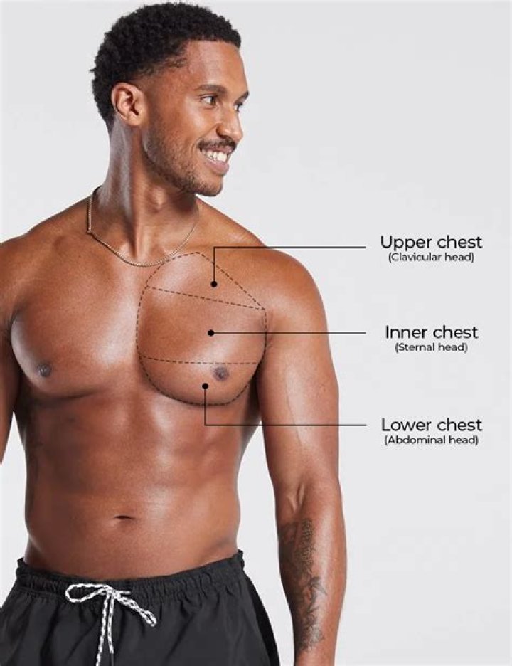 Chest muscle to a personal trainer