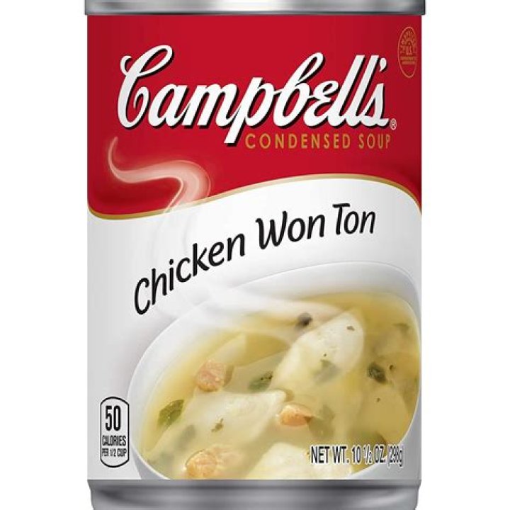 Chicken ___ Ton (Campbell's soup offering)