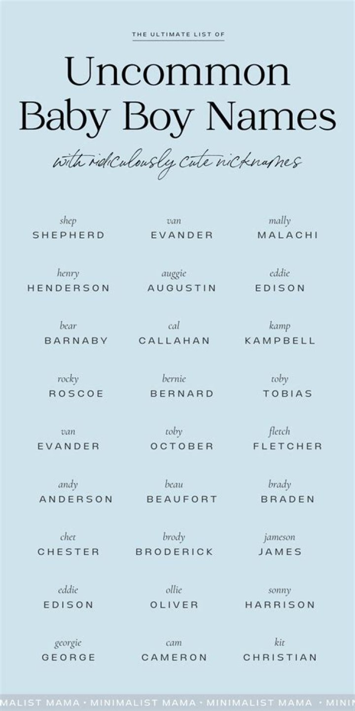 Child's nickname for a sow or boar