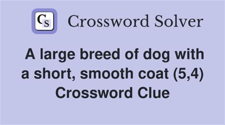 Chocolate dog breed for short