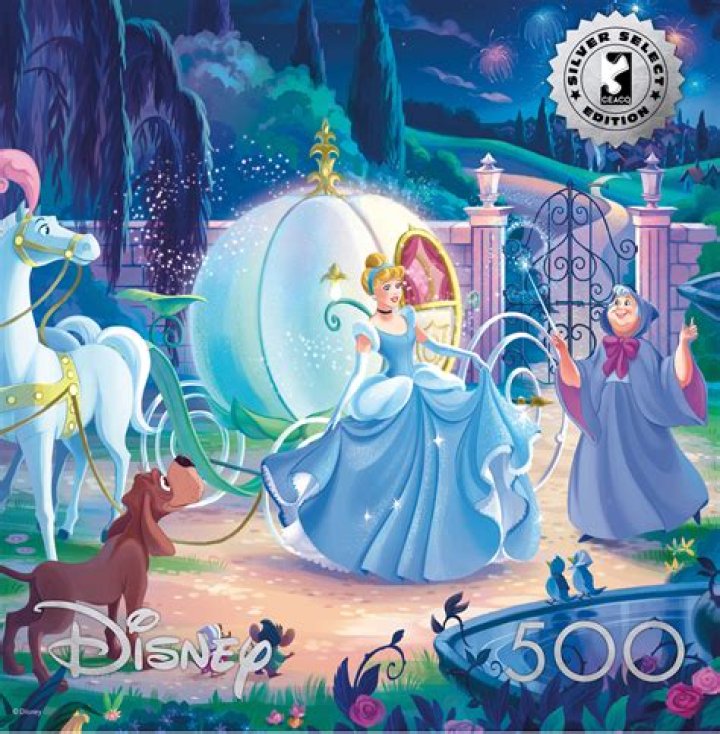 Cinderella's missing piece?