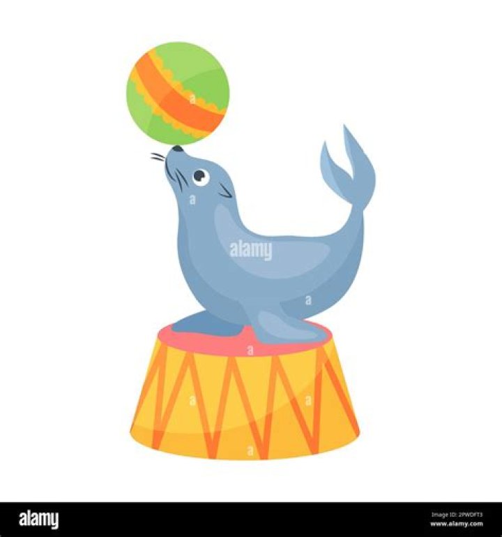 Circus animal that might balance a ball on its nose