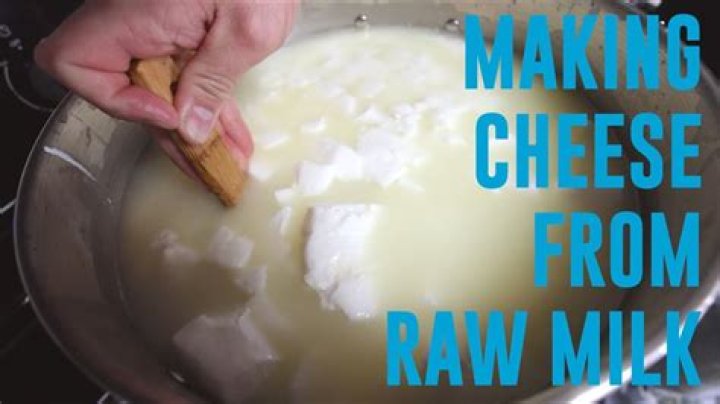 Clotted milk used for cheese-making