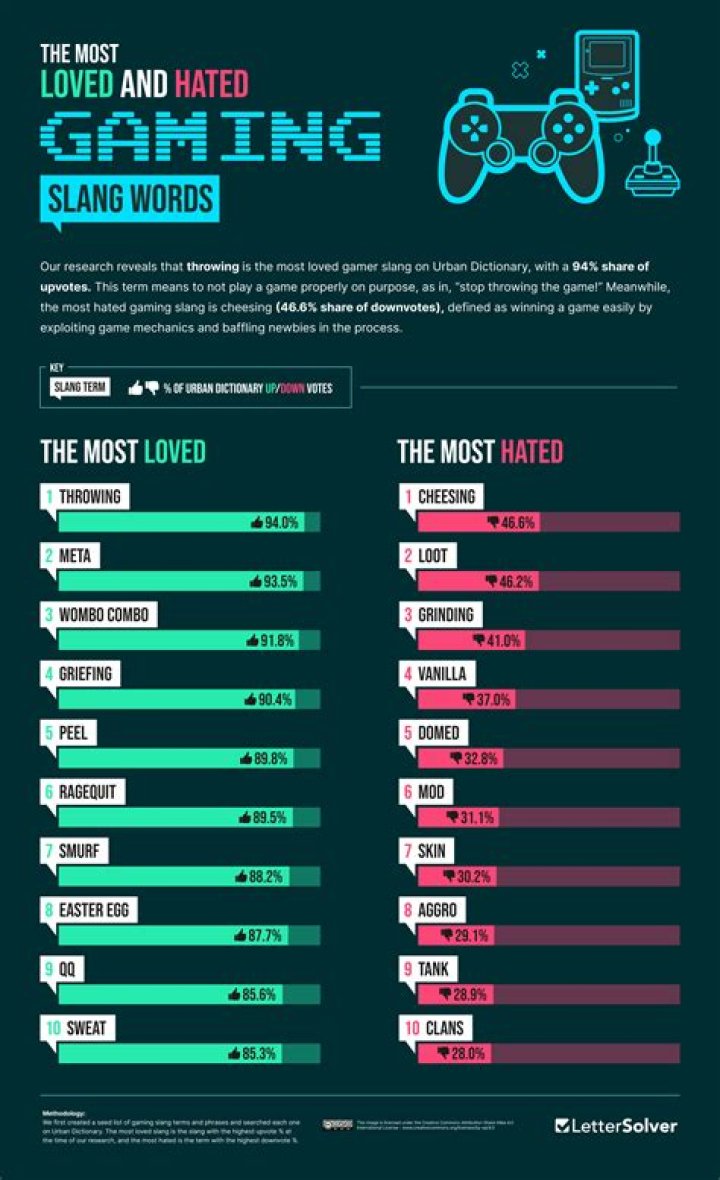 Clueless beginner in gamer slang