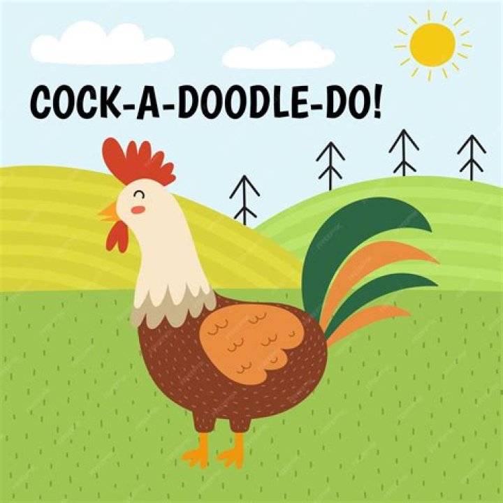 Cock-a-doodle-___ (rooster's cry)
