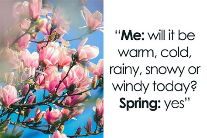 Comfortable like spring weather