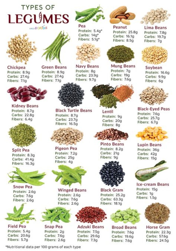Common type of legume
