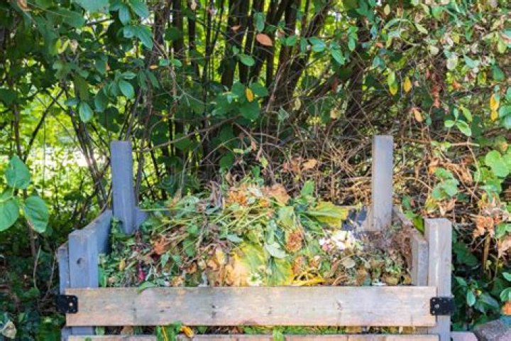 Compost ___ (heap in a garden)