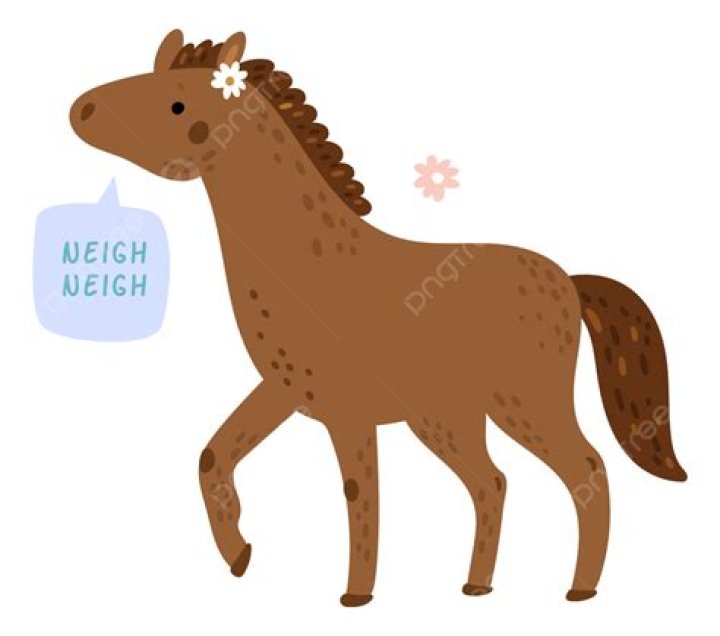Congressional vote that sounds like what a horse says