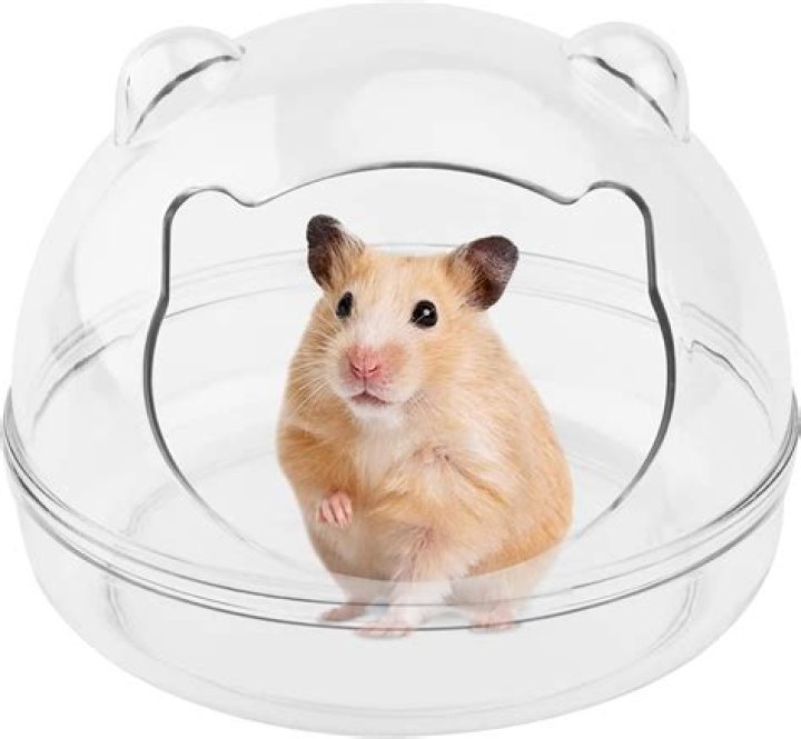 Container for a pet hamster