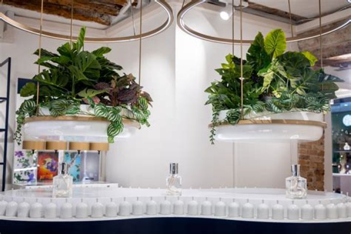 Cosmetics company known for calling at the doorstep