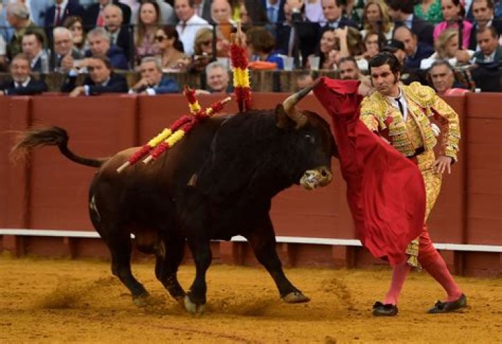 Cry at a bullfight