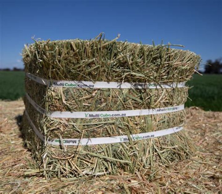 Cube of hay