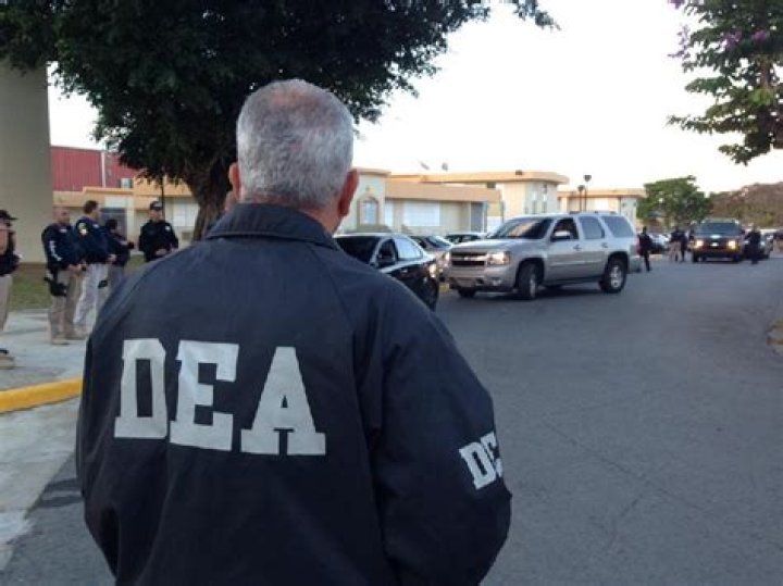 DEA undercover agent