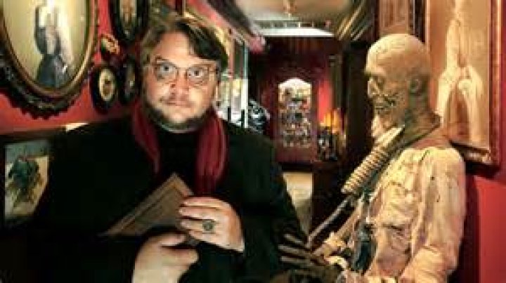 Director Guillermo ___ Toro