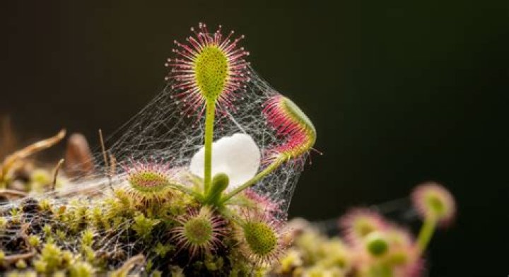 Distinctive time spans