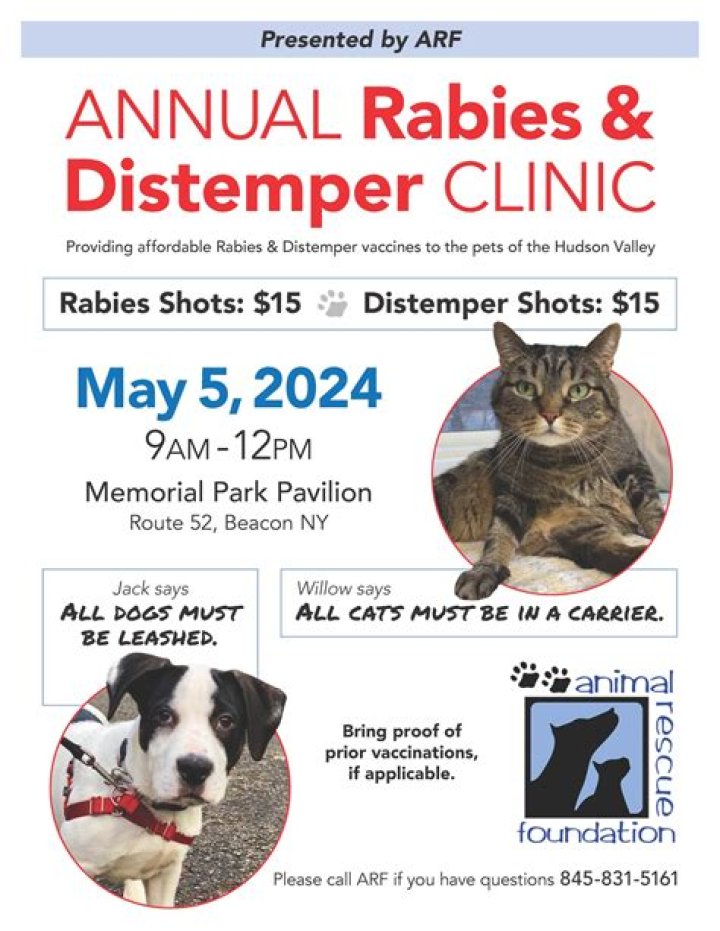 Doctor dealing with rabies and distemper for short