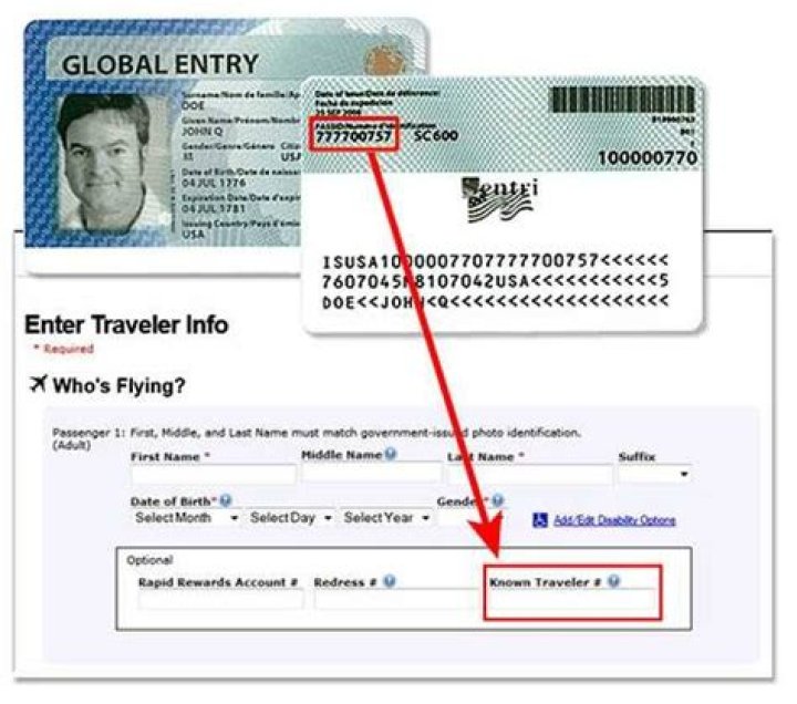 Document an international traveler may need
