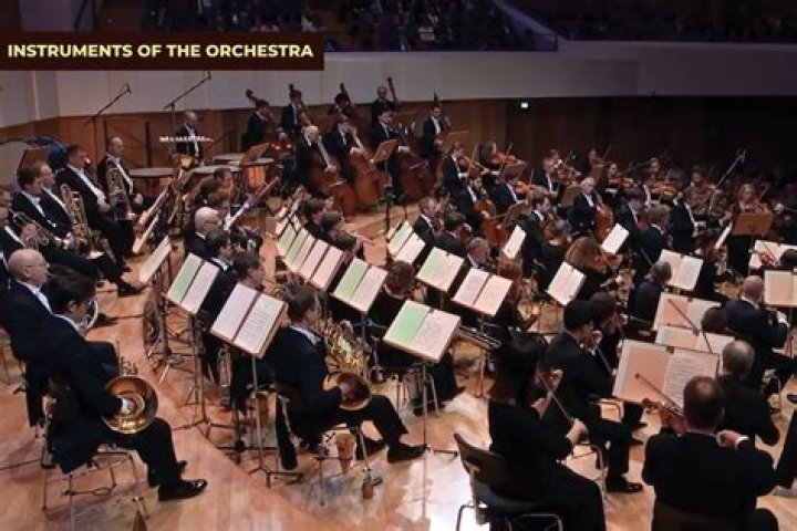 Double-reed instrument in an orchestra