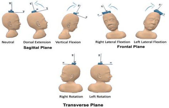 Down-and-up head movement