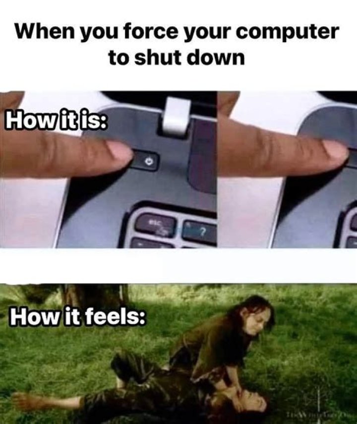 ___ down the law (forcefully explained how things are)