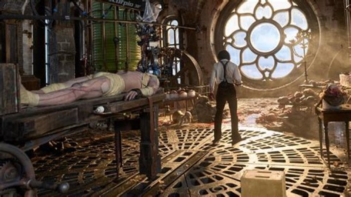 Dr. Frankenstein's laboratory assistant