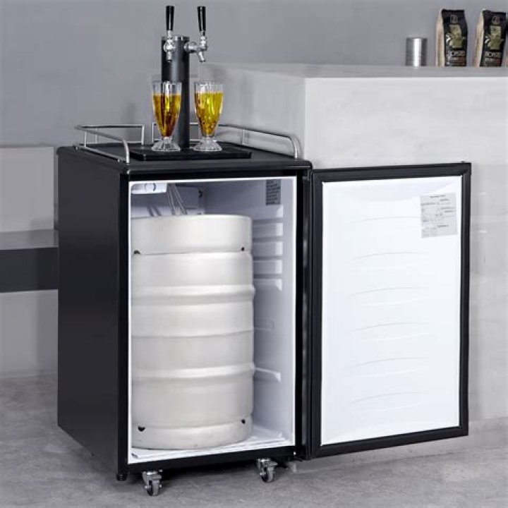 Draft beer dispenser