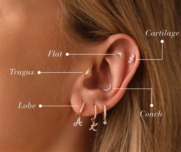 Ear parts from which earrings dangle