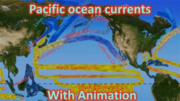 El ___ (Pacific ocean current)