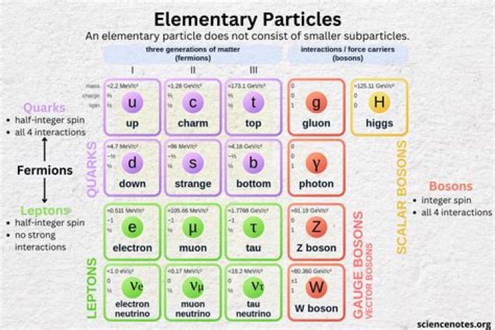 Elementary particle
