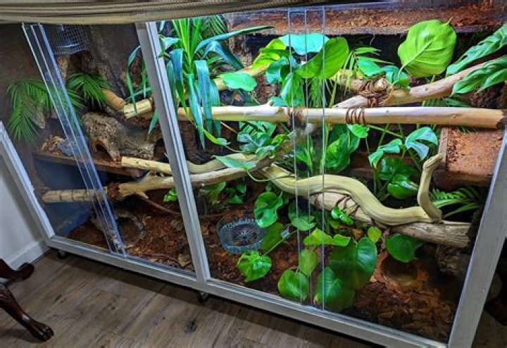 Enclosure for a pet canary