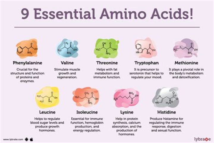 Essential amino ___