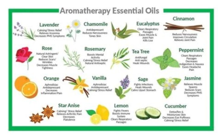 Essential ___ (plant compounds used in aromatherapy)