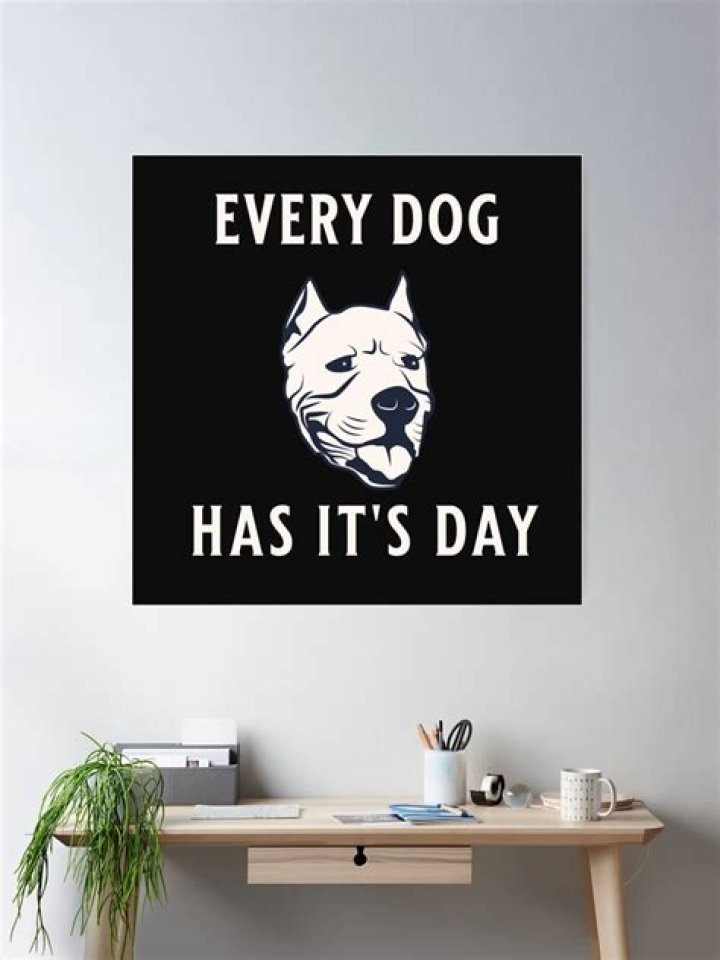 Every ___ has its day