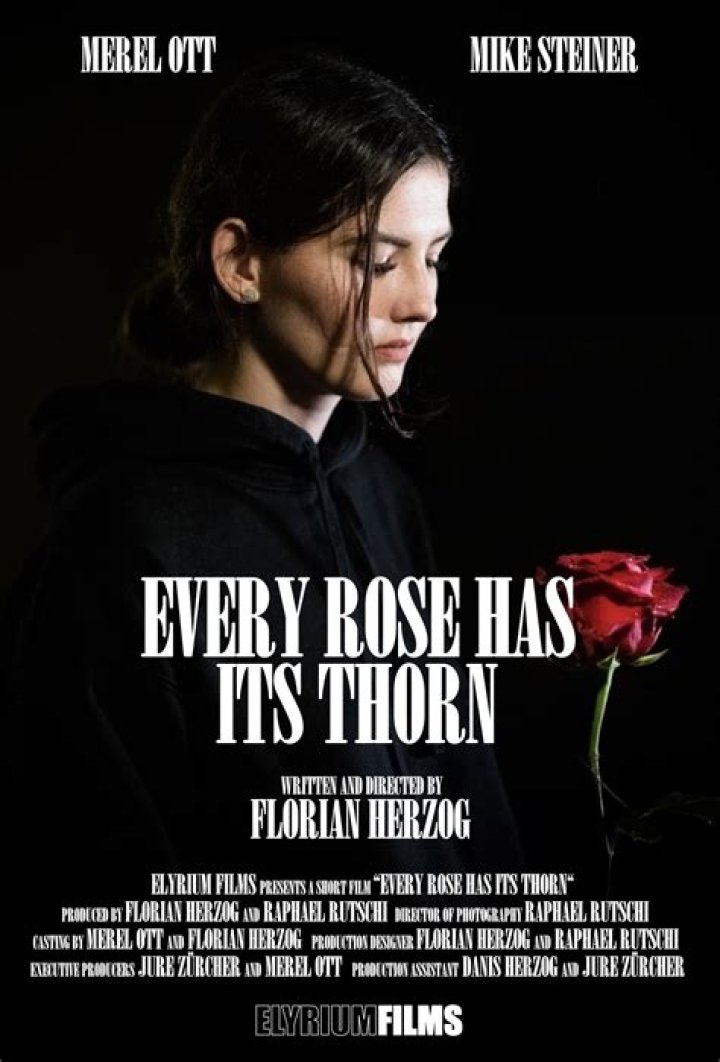 Every ___ has its thorn (nothing is perfect)