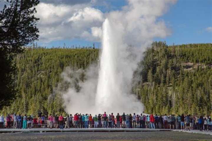 ___ Faithful (geyser in Yellowstone)