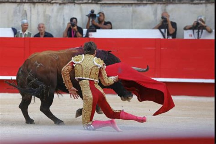 Fan shouts for matadors