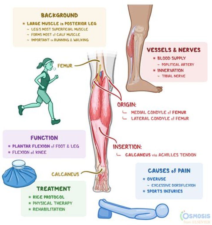 Favor one leg when walking
