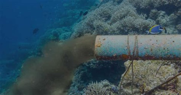 Federal group concerned with acid rain and lead contamination: Abbr.