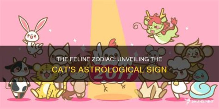 Feline astrological sign